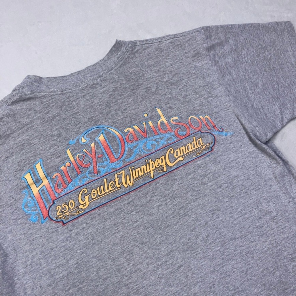 Harley-Davidson T-Shirt Mens M Gray Winnipeg Canada Dealer Graphic Biker Tee‎